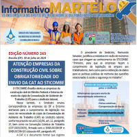 Informativo Nº 243